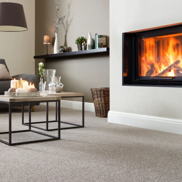 light taupe fireproof carpeting in a contemporary living room
