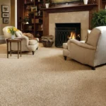 Beige plush fireproof carpet in a traditional living room with a fireplace.