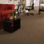 Brown textured fireproof carpet in a contemporary home office